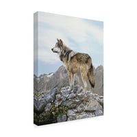 Marka Güzel Sanatlar 'Alpine Lookout' Tuval Sanatı Ron Parker